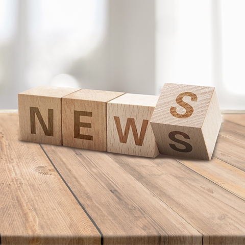 常見的撕碎機有哪些類型？